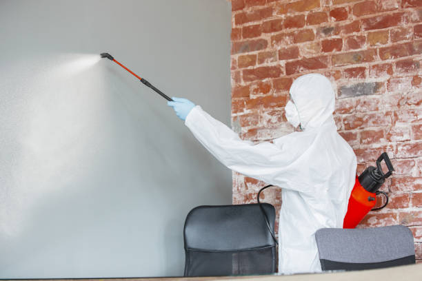 Best Mold-Related Health Consultation  in Memphis, TN