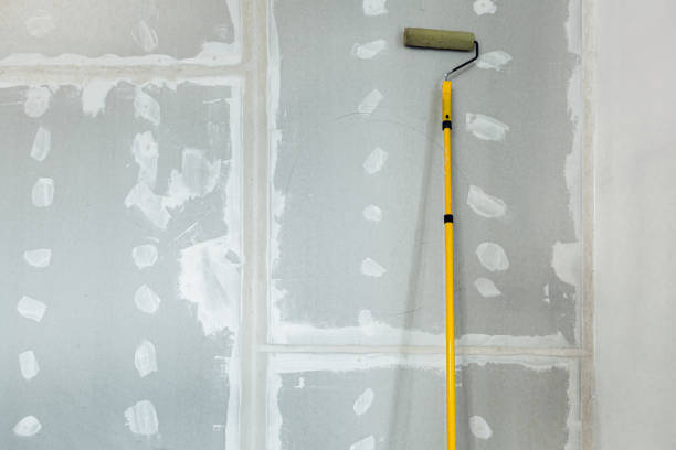 Best Black Mold Removal  in Memphis, TN
