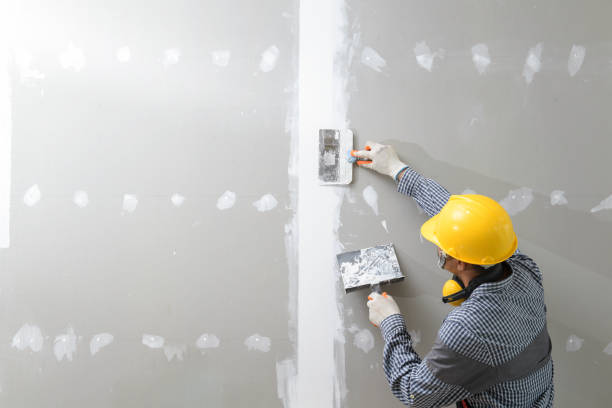 Professional Mold Removal in Memphis, TN
