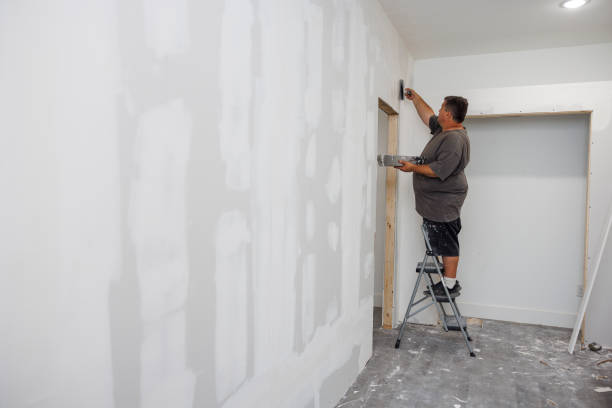 Best Mold Damage Restoration  in Memphis, TN