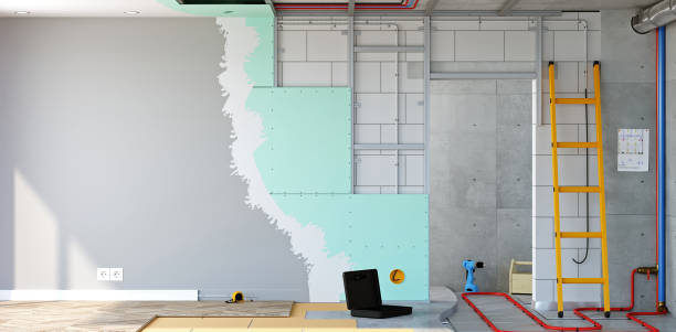 Best Asbestos and Lead Testing During Mold Inspection  in Memphis, TN