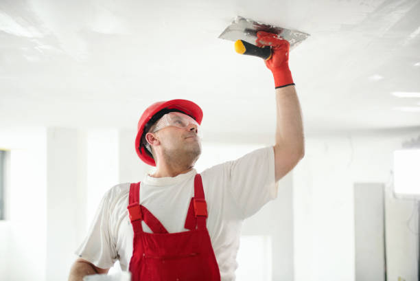 Mold Removal for HVAC Installations in Memphis, TN