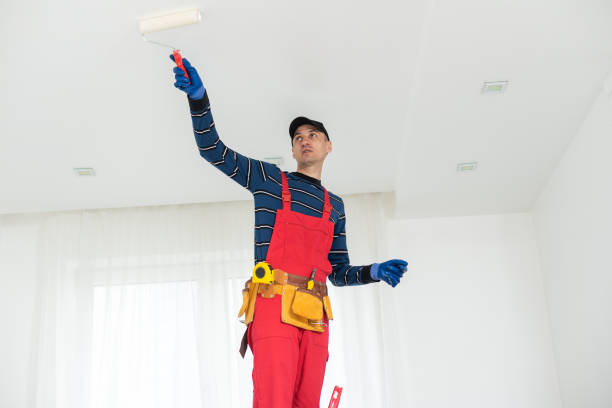 Best Mold Remediation for Vacation Homes  in Memphis, TN