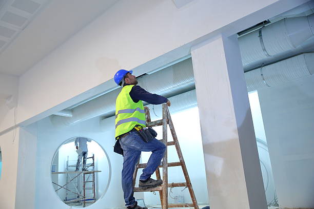 Best Mold Removal for HVAC Installations  in Memphis, TN