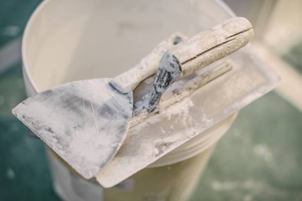 Best Air Quality Testing for Mold Spores  in Memphis, TN