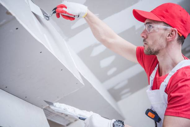 Best Mold Removal for HVAC Installations  in Memphis, TN
